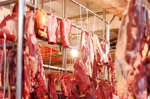 Cuts of meat hanging behind a butcher's counter
